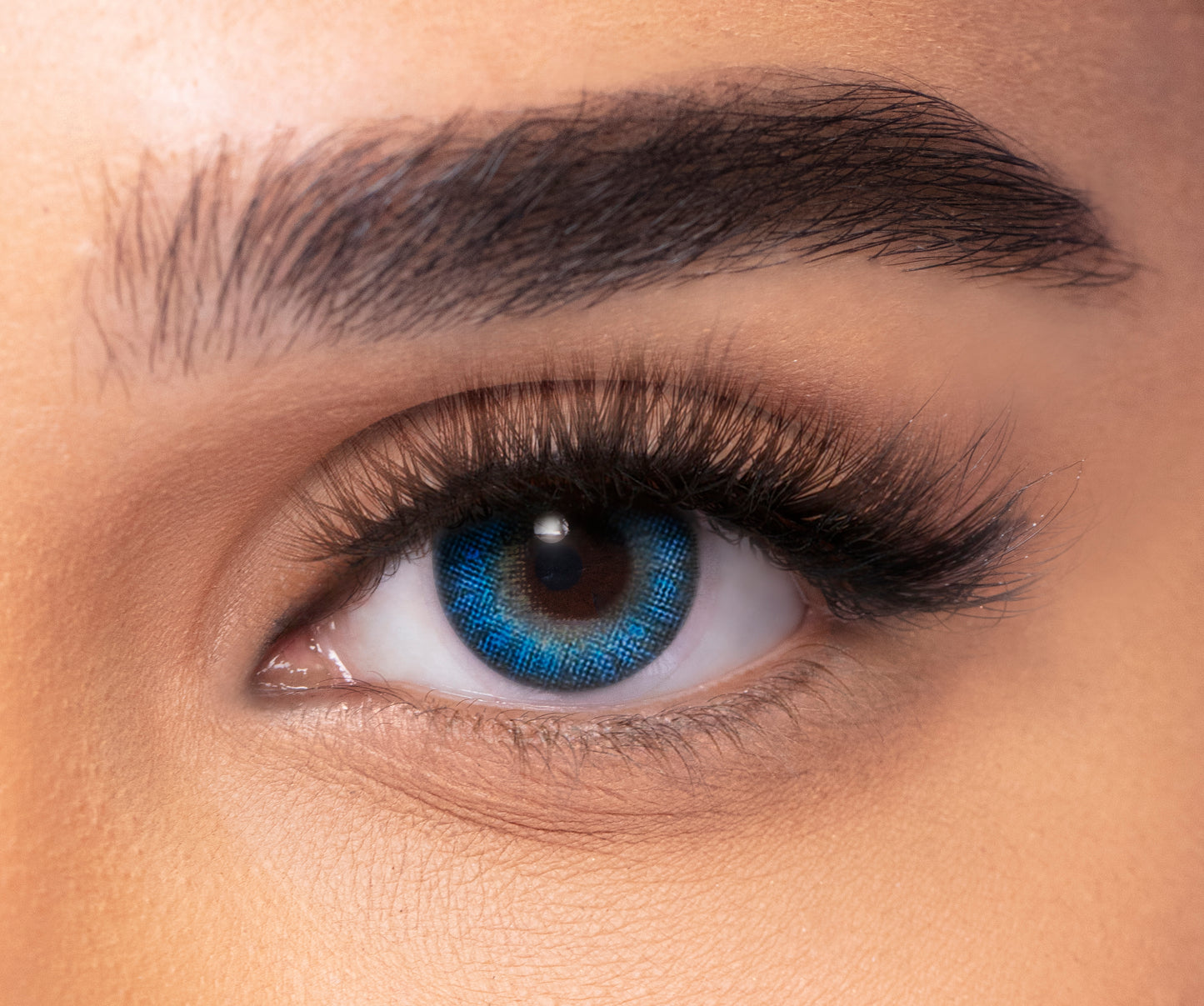 Freshlook Colorblends Honey Color Lenses 2 Lens per Box