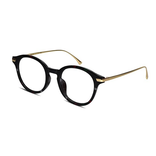 Stylish black  round computer glasses for men and women with sleek golden arms.Can also be used as uv protection glasses for computer work