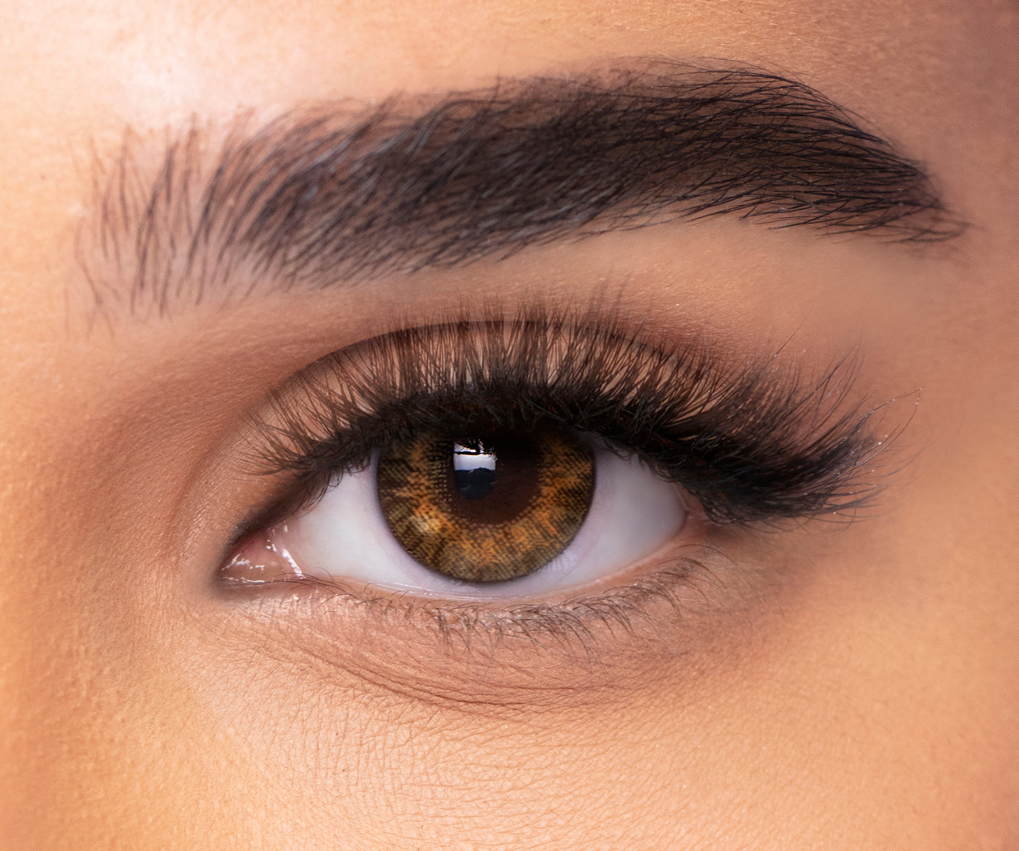 Freshlook Colorblends Honey Color Lenses 2 Lens per Box