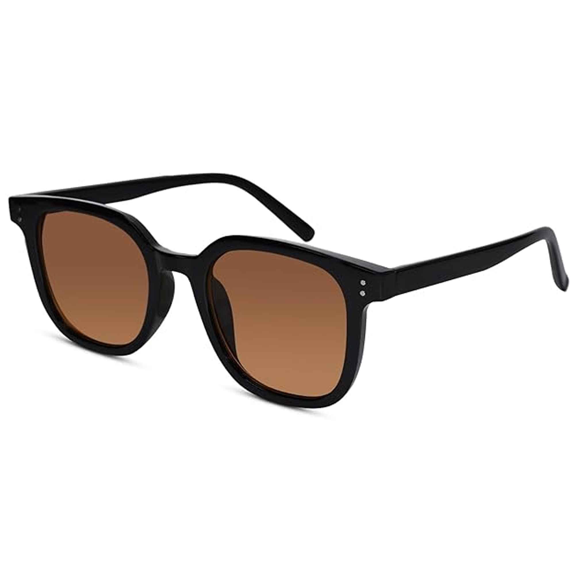 RETRO Brown Tinted Wayfarer  Sunglasses