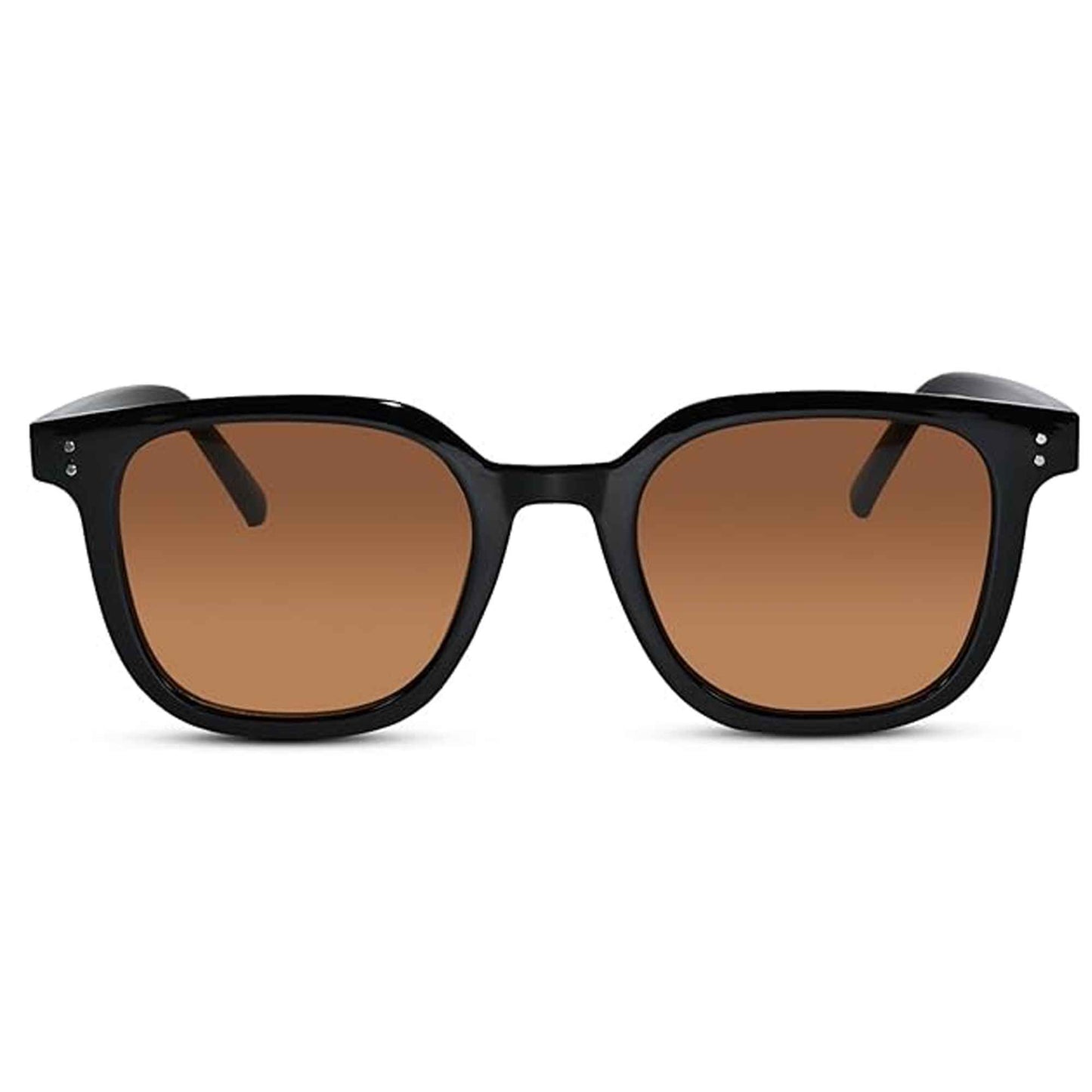 RETRO Brown Tinted Wayfarer  Sunglasses