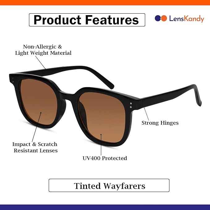 RETRO Brown Tinted Wayfarer  Sunglasses