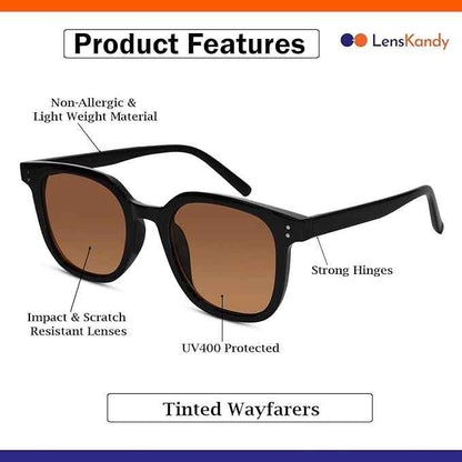 RETRO Brown Tinted Wayfarer  Sunglasses