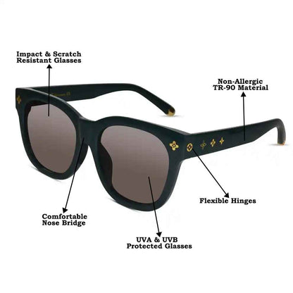 BOLD Brown Designer Sunglasses