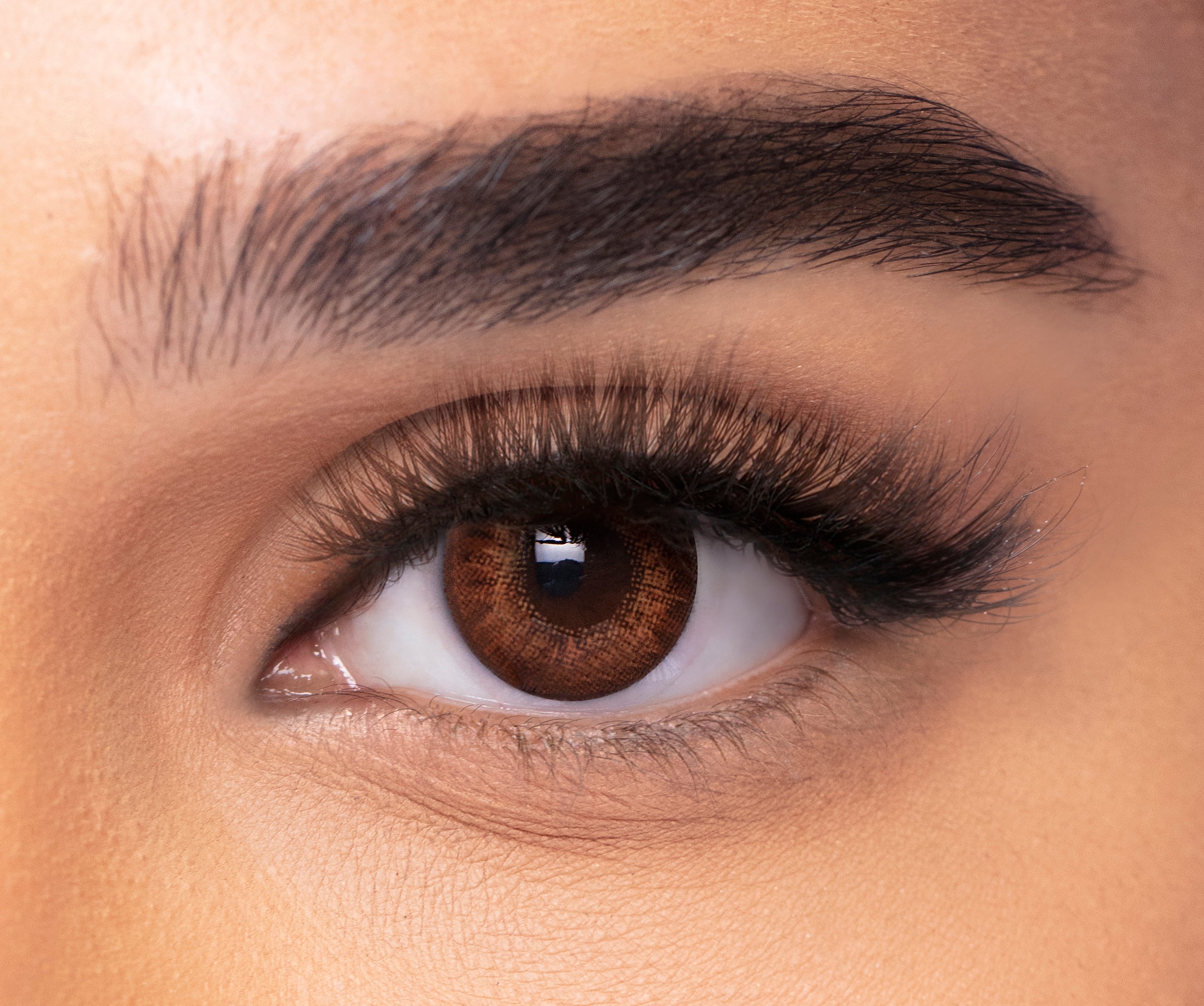 Freshlook Colorblends Honey Color Lenses 2 Lens per Box