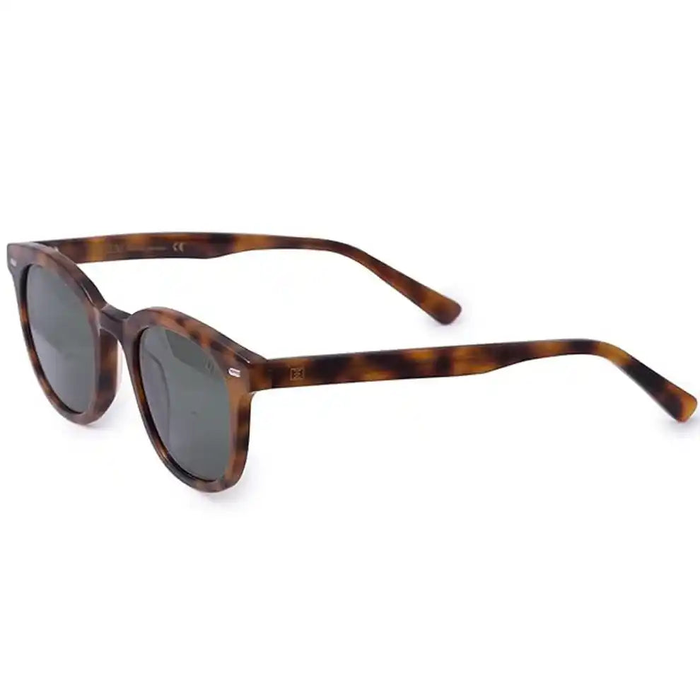 Black Blue Tint Acetate Wayfarer Sunglasses