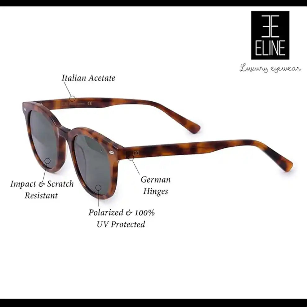 Black Blue Tint Acetate Wayfarer Sunglasses