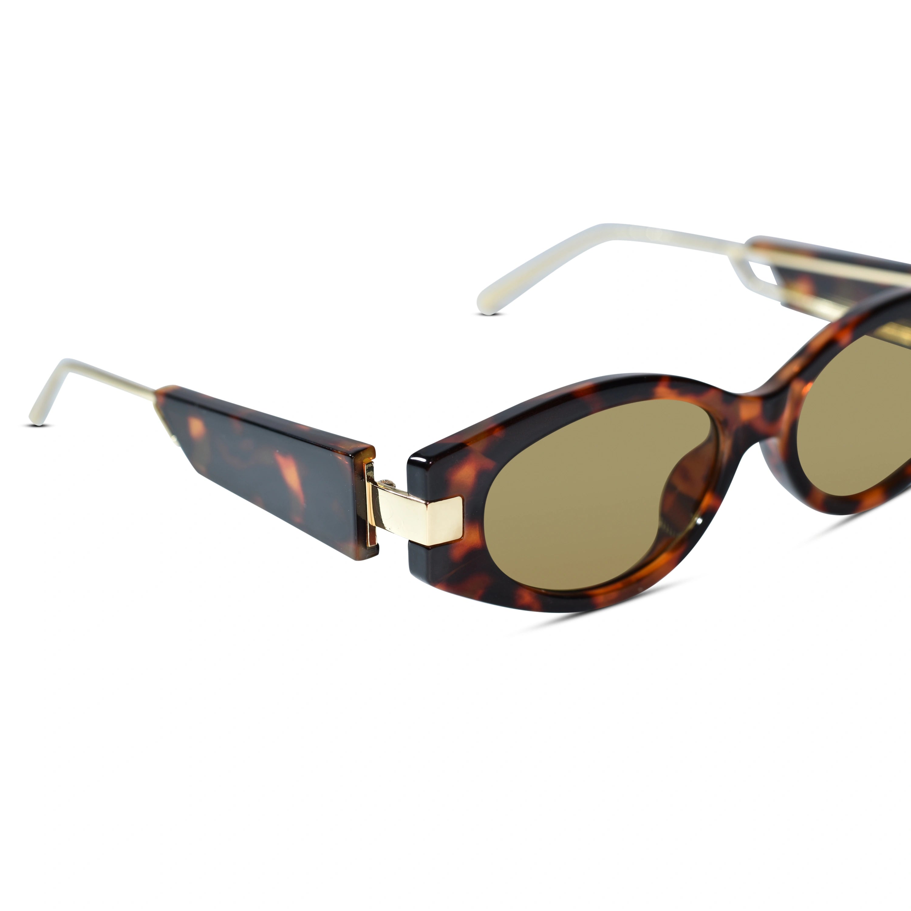 Brown Cateye Sunglasses for Women & Men ELS2026S022-BRN