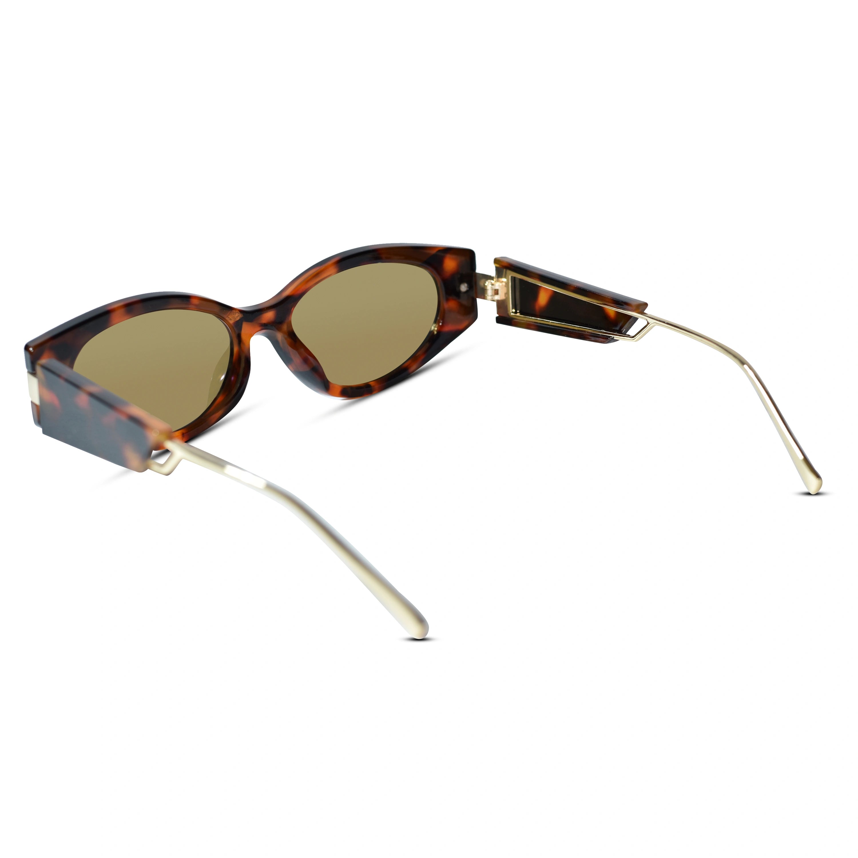 Brown Cateye Sunglasses for Women & Men ELS2026S022-BRN