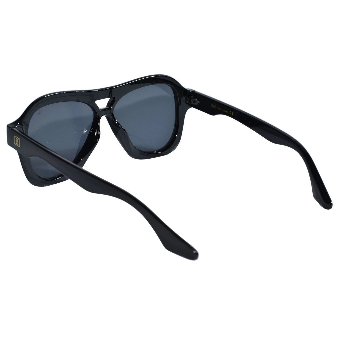 Black Aviator Sunglasses For Men & Women ELS20252-BLK