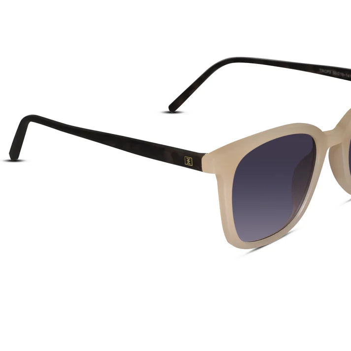 Matt Black Wayfarer  Sunglasses For Men & Women