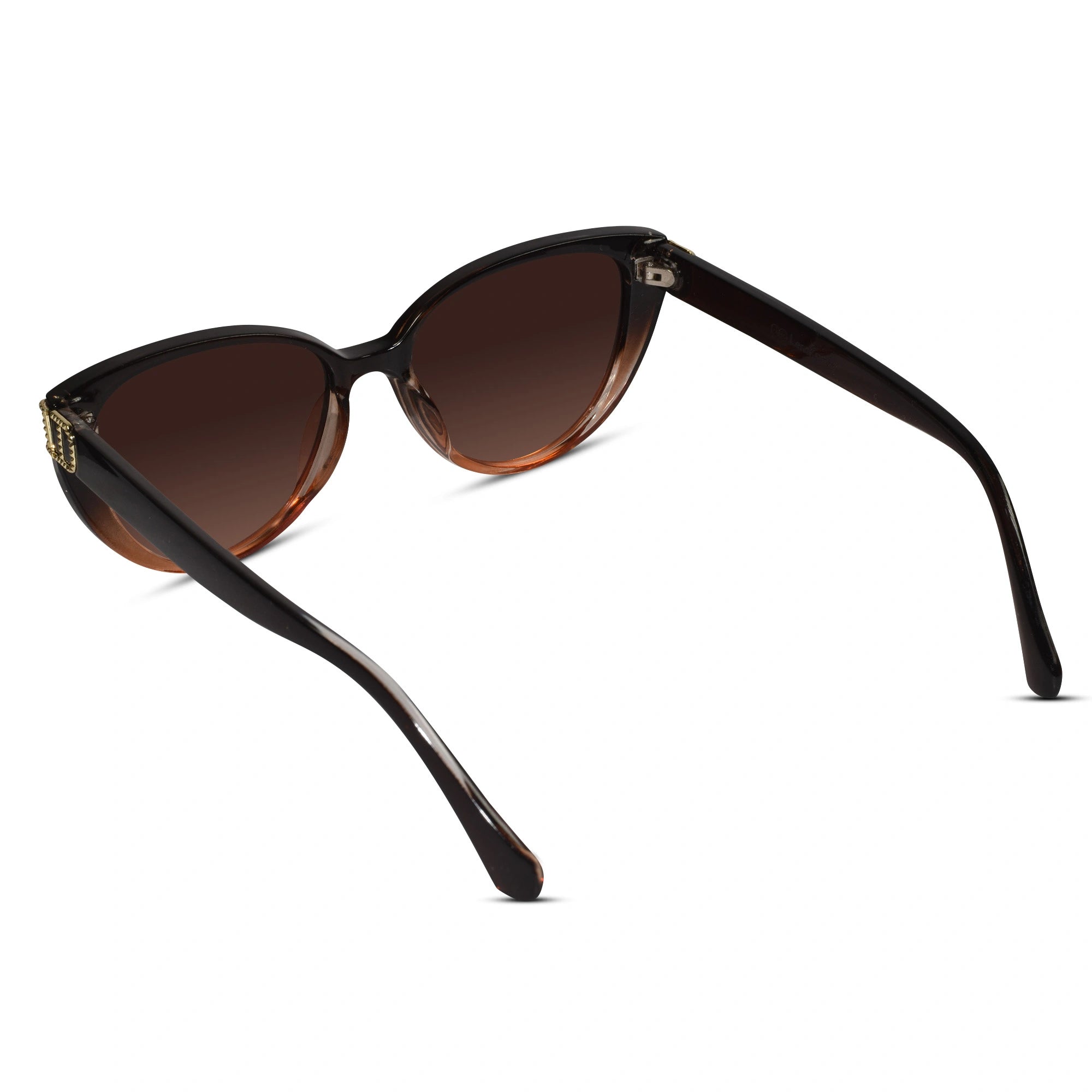 Dual Tone Cat-eye sunglasses Sunglasses For Women LKS23045-BRN