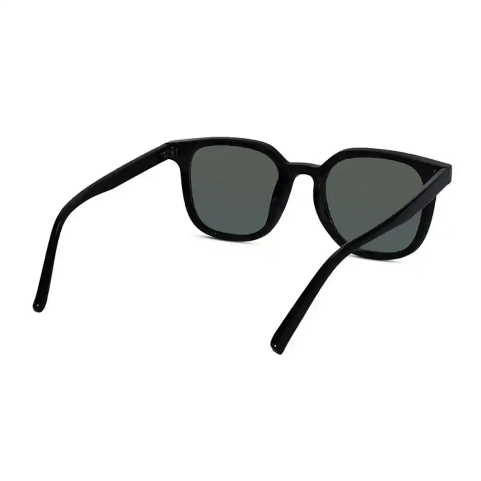 RETRO Brown Tinted Wayfarer  Sunglasses