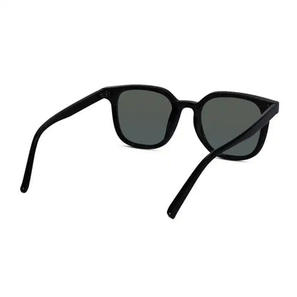 RETRO Brown Tinted Wayfarer  Sunglasses
