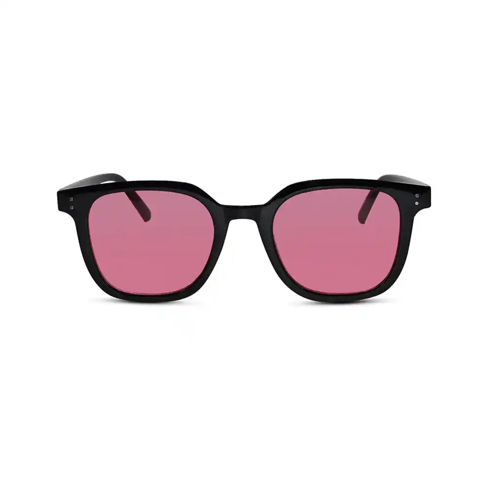 RETRO Brown Tinted Wayfarer  Sunglasses