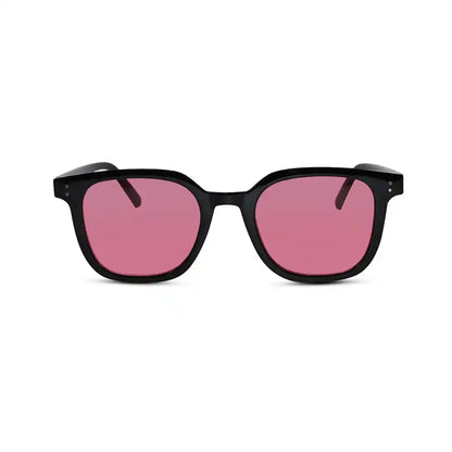 RETRO Brown Tinted Wayfarer  Sunglasses
