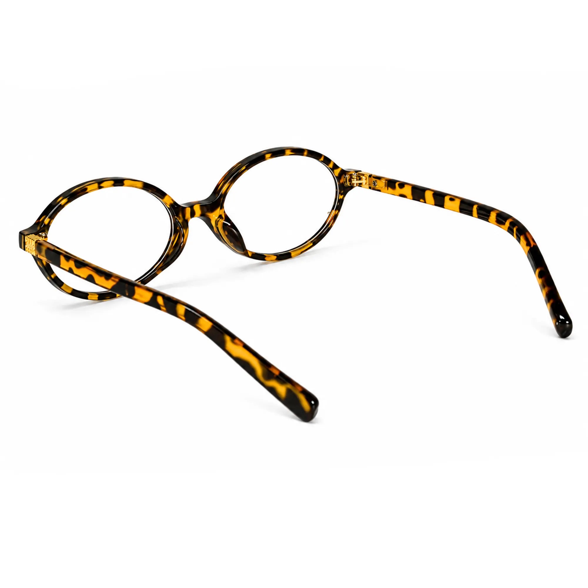 Premium Round Sunglasses for Women ELS2026S018-DA BRN