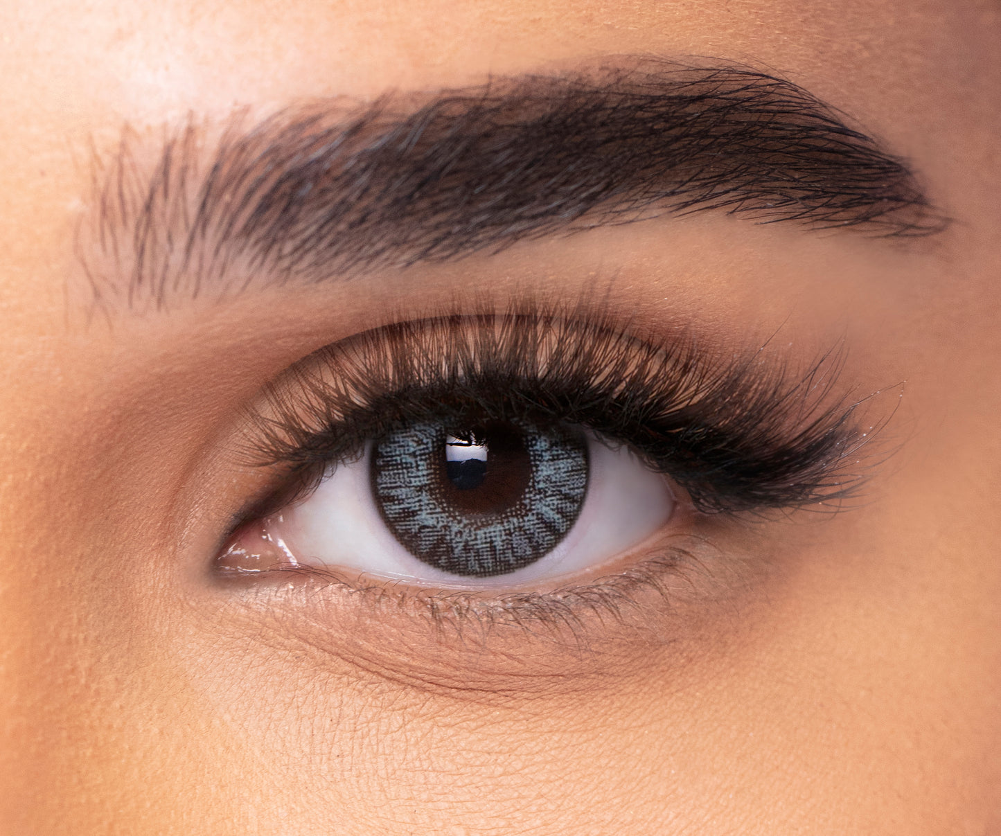 Freshlook Colorblends Honey Color Lenses 2 Lens per Box