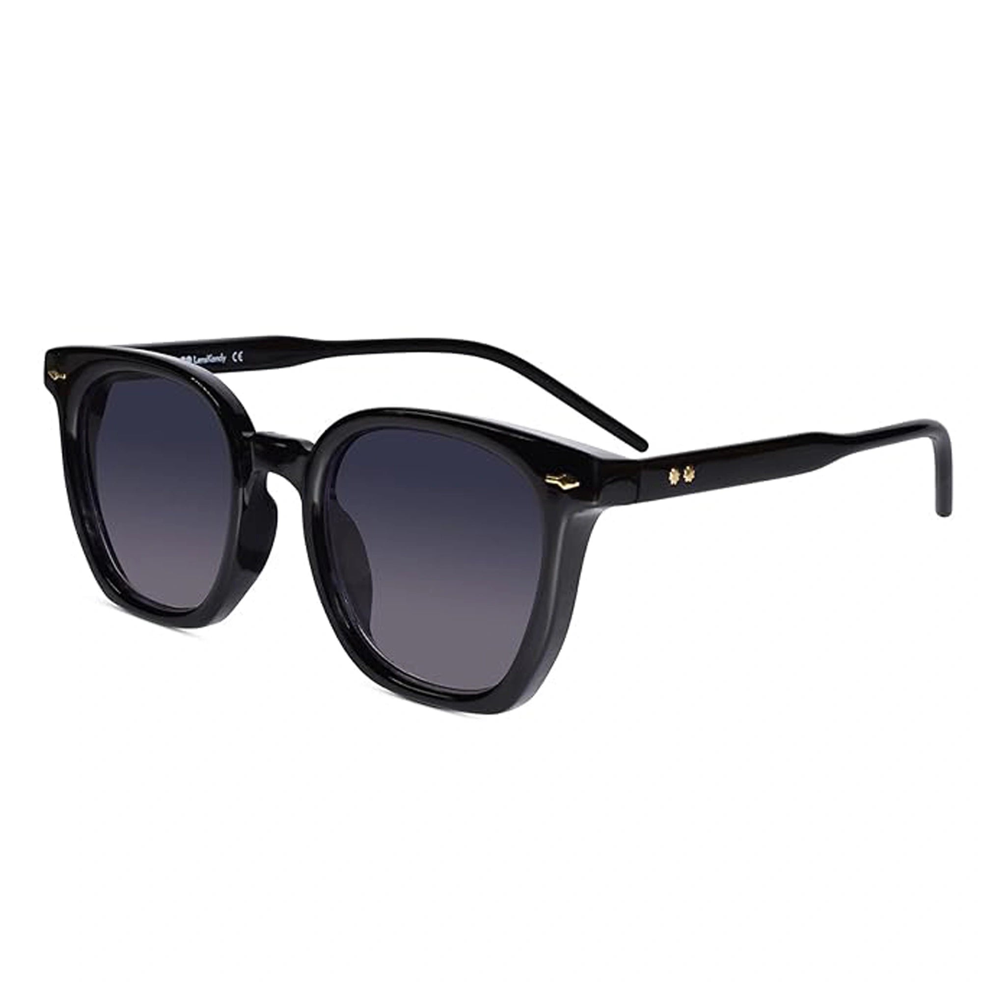 Black   Wayfarer Sunglasses For Men & Women LKS6016-BLK