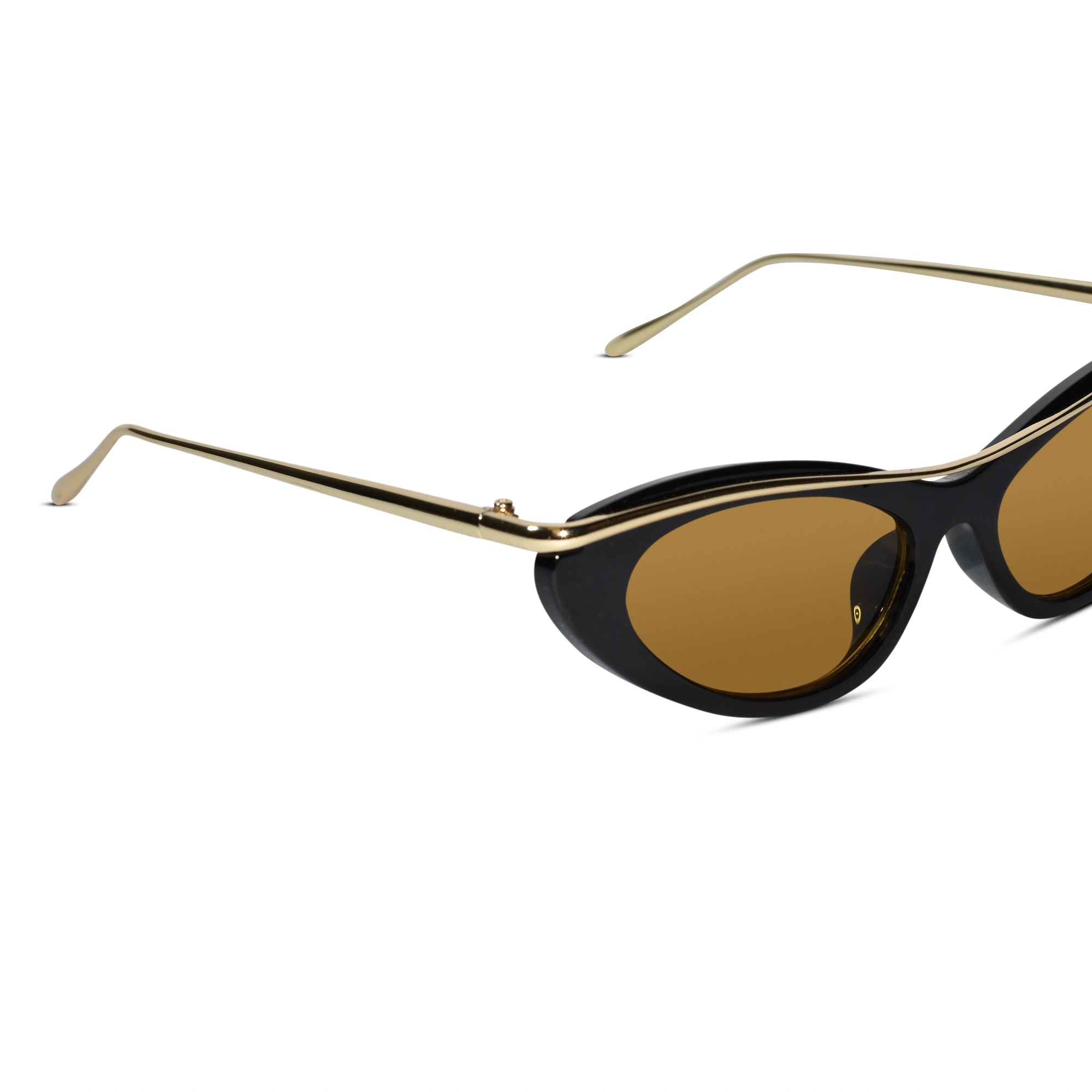 Trendy Cat Eye Sunglasses for Women ELS2026S019-BLK