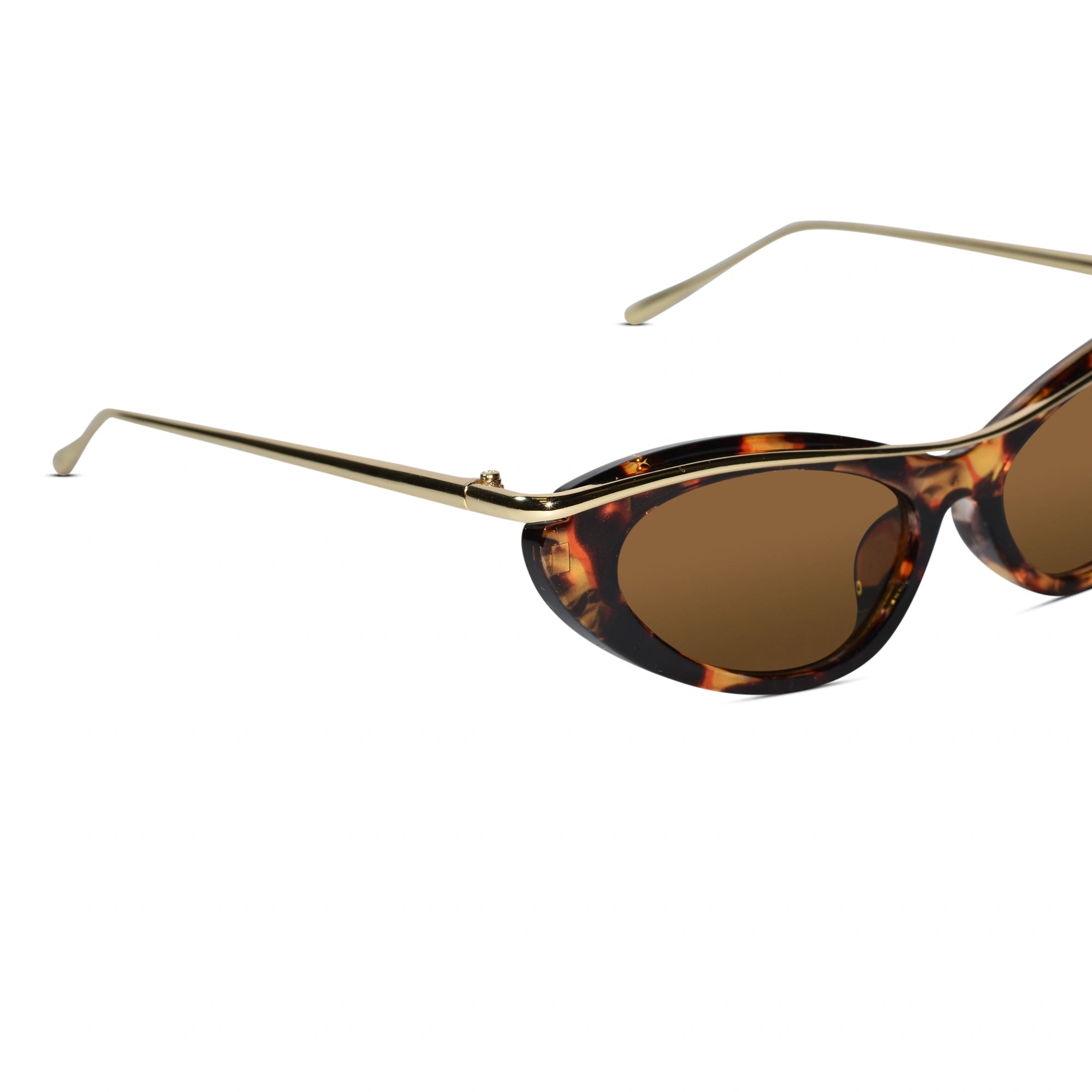 Trendy Cat Eye Sunglasses for Women ELS2026S019-DA BRN