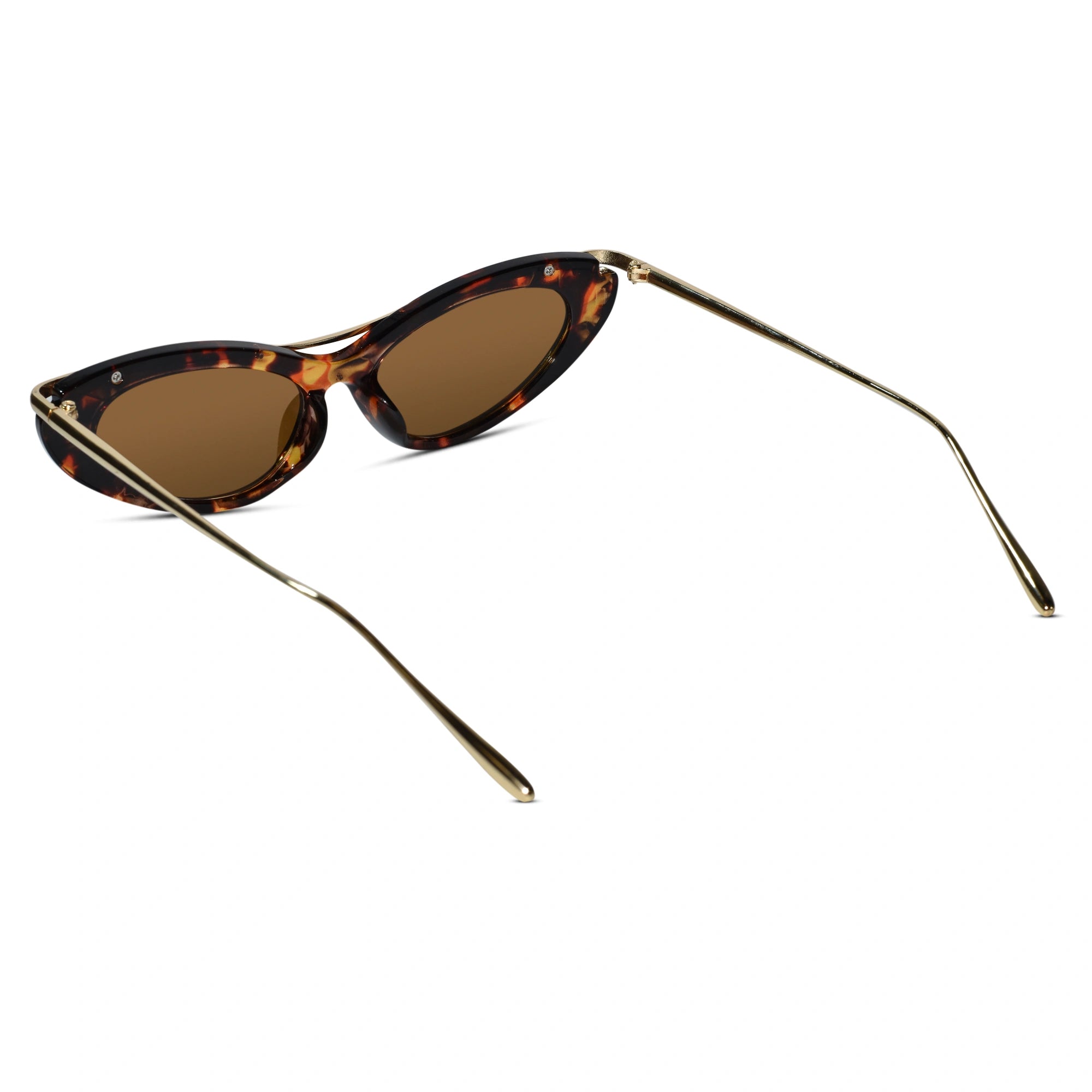 Trendy Cat Eye Sunglasses for Women ELS2026S019-DA BRN