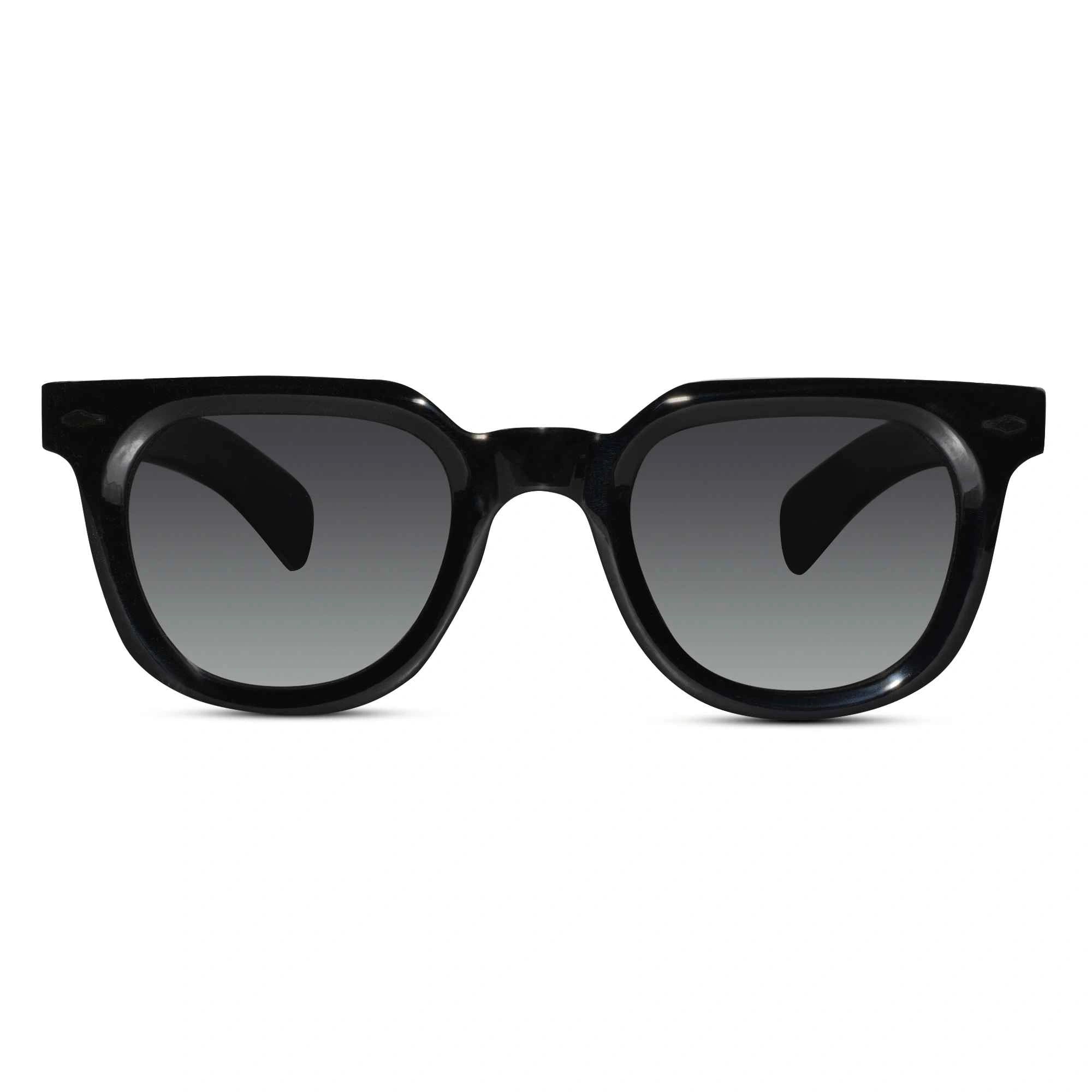 Wayfarer Black Sunglasses for Unisex LKS6508-BLK
