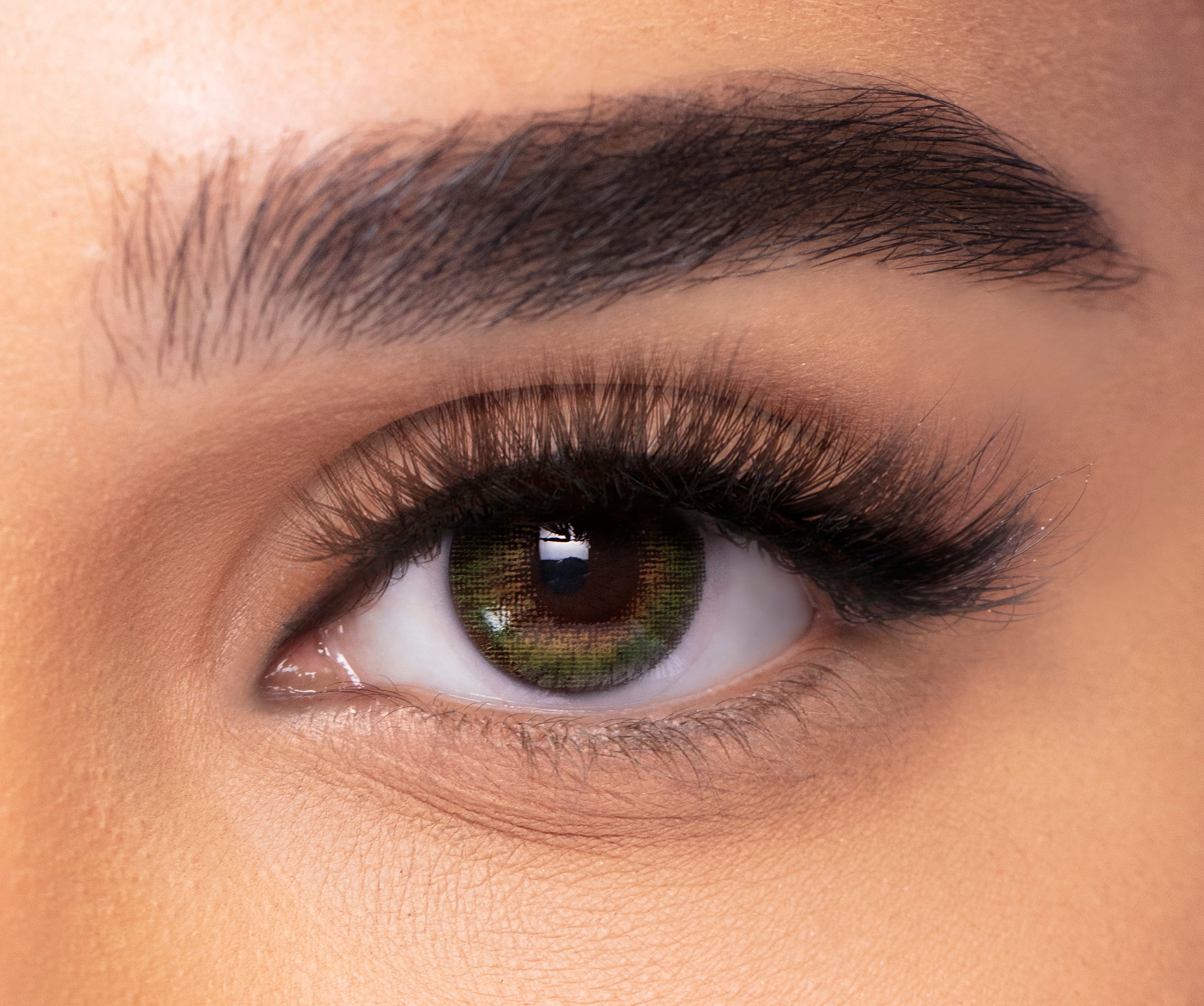 Freshlook Colorblends Honey Color Lenses 2 Lens per Box