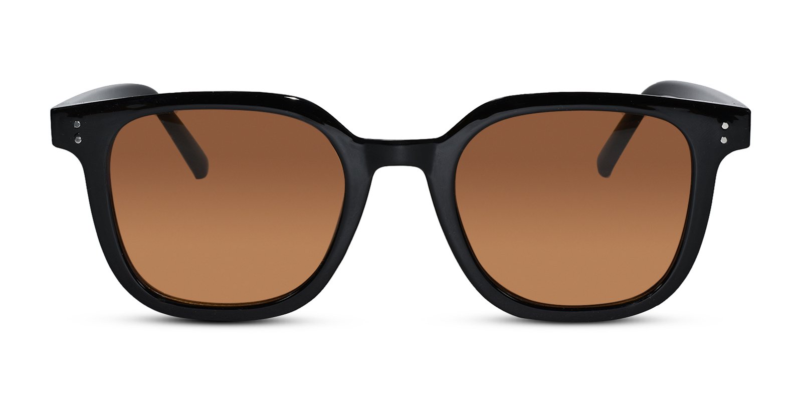 Vintage Brown Tints Wayfarer Sunglasses