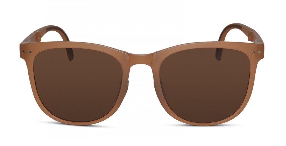 Foldable brown wayfarer sunglasses
