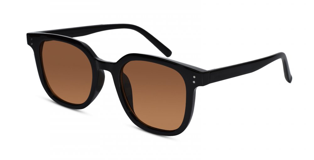 Vintage Brown Tints Wayfarer Sunglasses